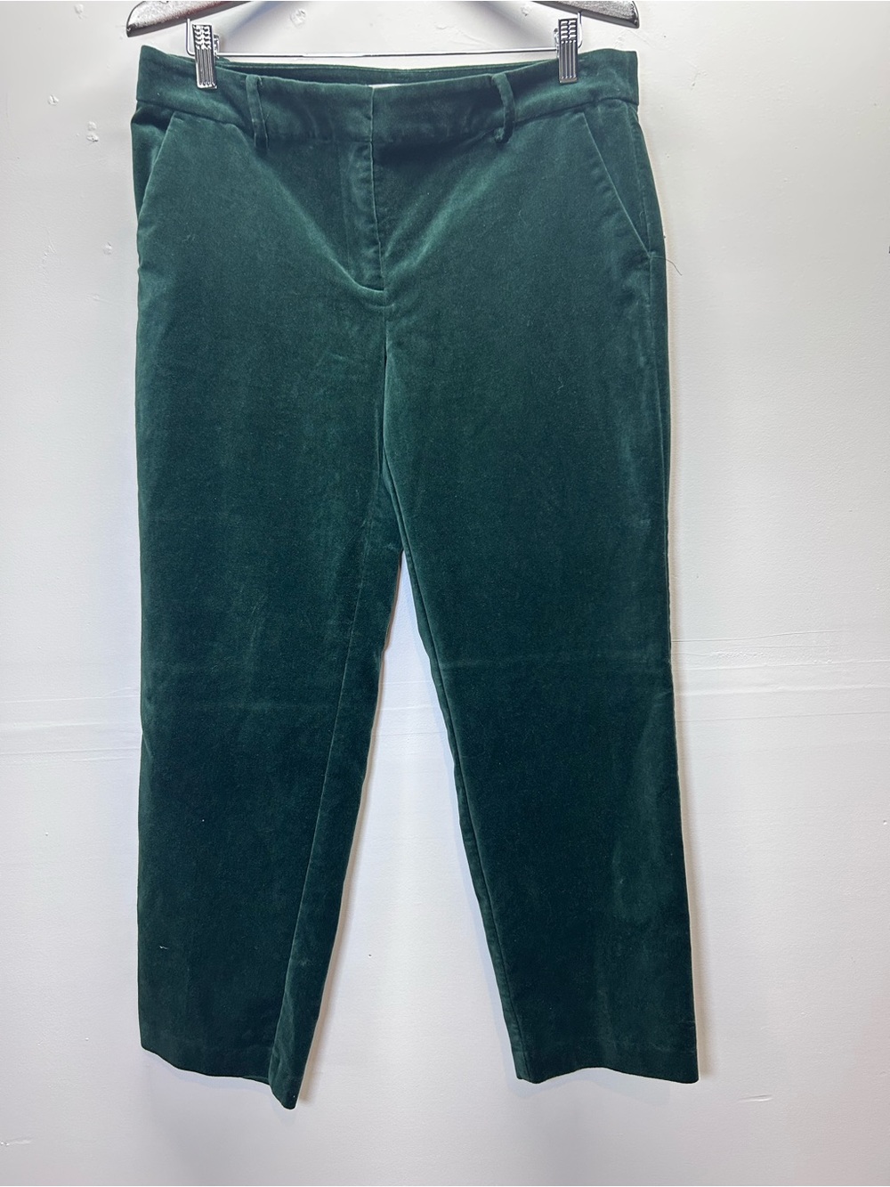 Loft Green Riviera Slim Pants in Velvet-10